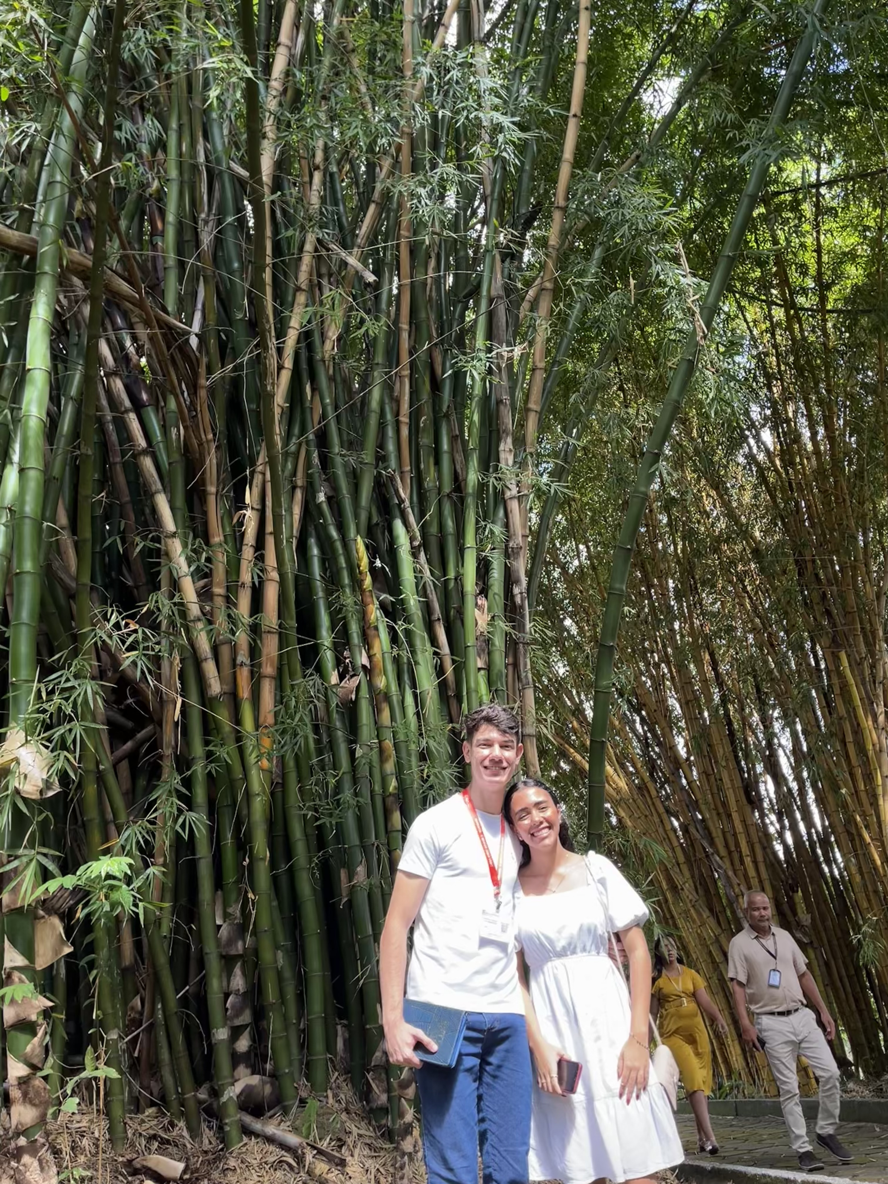 Mini álbum - Foto 2